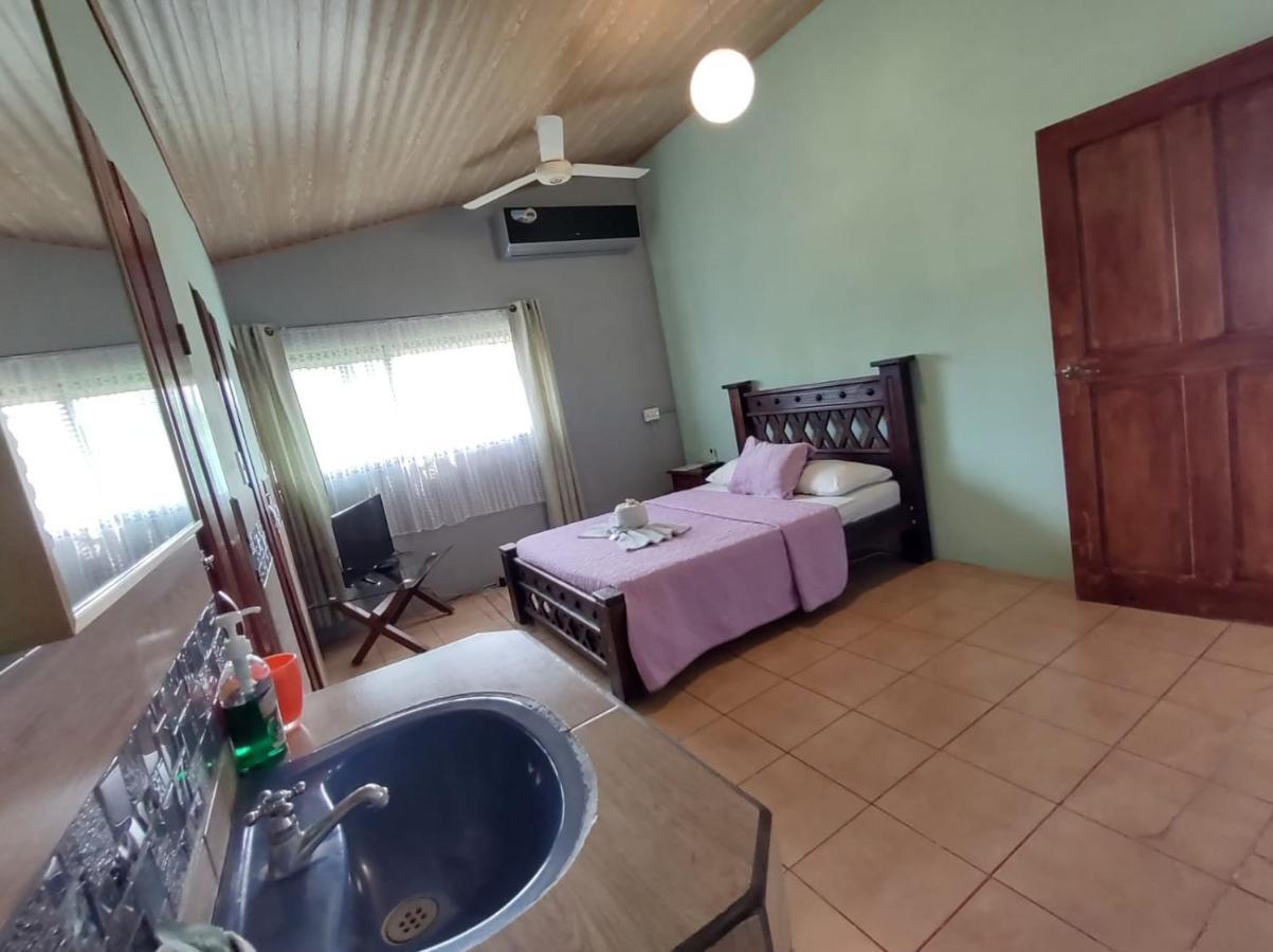 The Corner Airbnb Puerto Jiménez 外观 照片